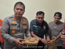 Polisi Bekasi Amankan 41 Kilogram Ganja yang Diselundupkan dalam Serbuk Kopi