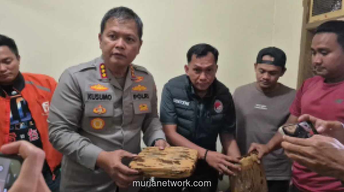 Polisi Bekasi Amankan 41 Kilogram Ganja yang Diselundupkan dalam Serbuk Kopi