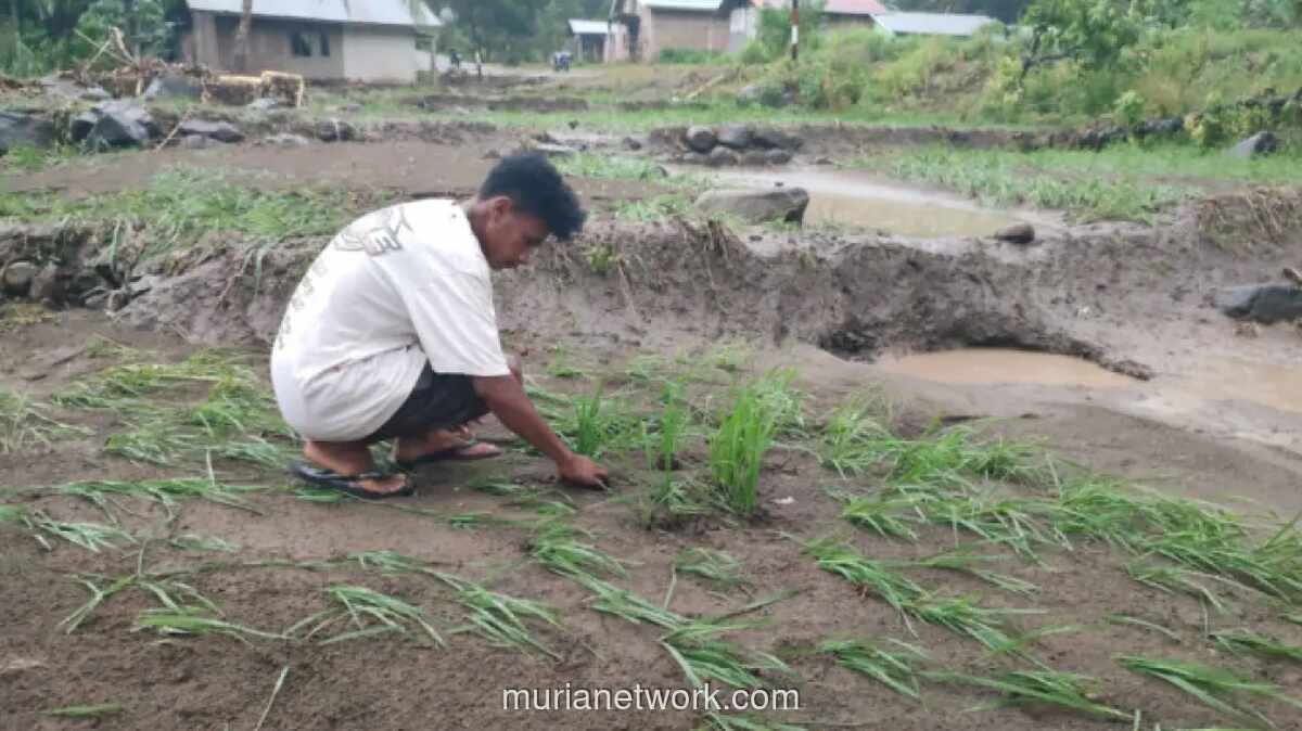 Banjir dan Longsor di Sikka NTT Terdampakkan Hampir 13.000 Jiwa
