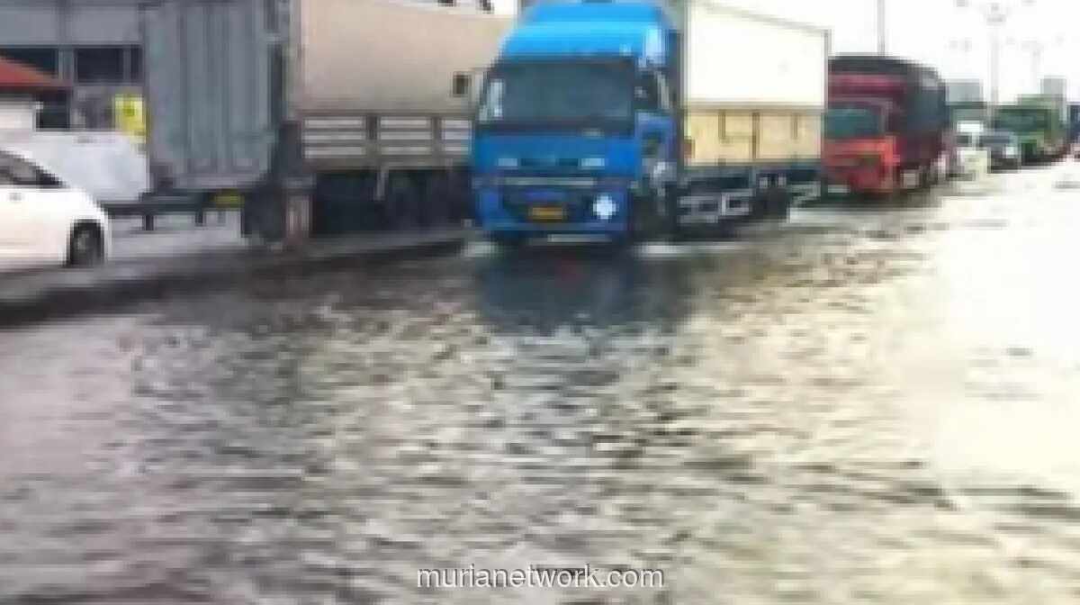 BMKG Jambi Imbau Warga Pesisir Waspada Banjir Rob 23-26 Maret 2026