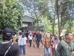 Ribuan Pengunjung Serbu Ragunan di H+2 Lebaran, Angka Diprediksi Tembus 100 Ribu