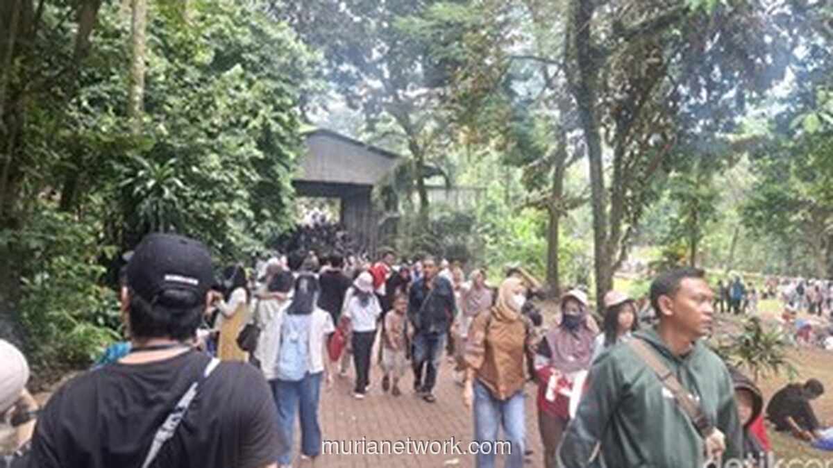 Ragunan Dibanjiri 60 Ribu Pengunjung di H+2 Lebaran, Pengelola Siapkan 27 Titik Parkir