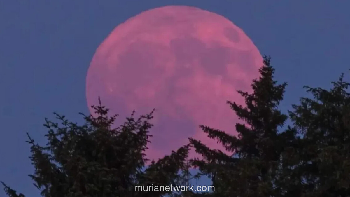 Bulan Purnama Pink Moon Akan Terlihat di Indonesia pada 2 April 2026