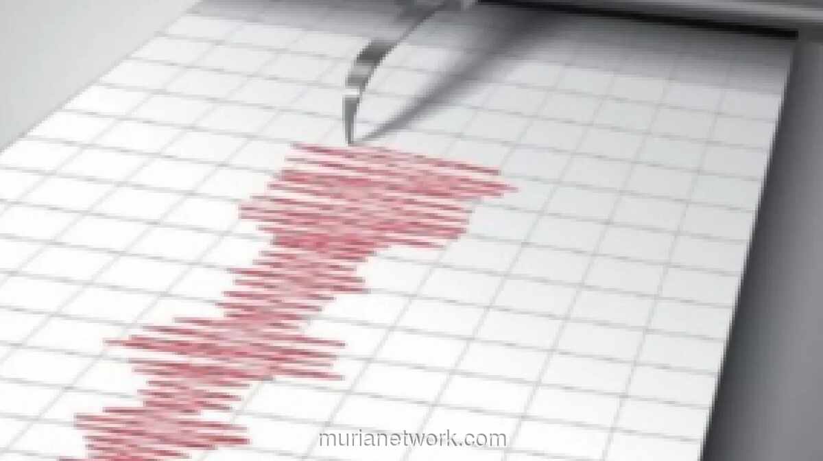BMKG Catat 20 Kali Gempa dalam 5 Jam, Belum Ada Laporan Kerusakan