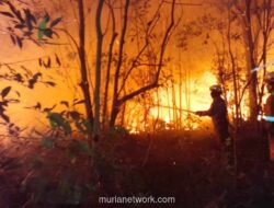 BMKG Catat 201 Titik Panas di Riau, Tertinggi di Sumatera
