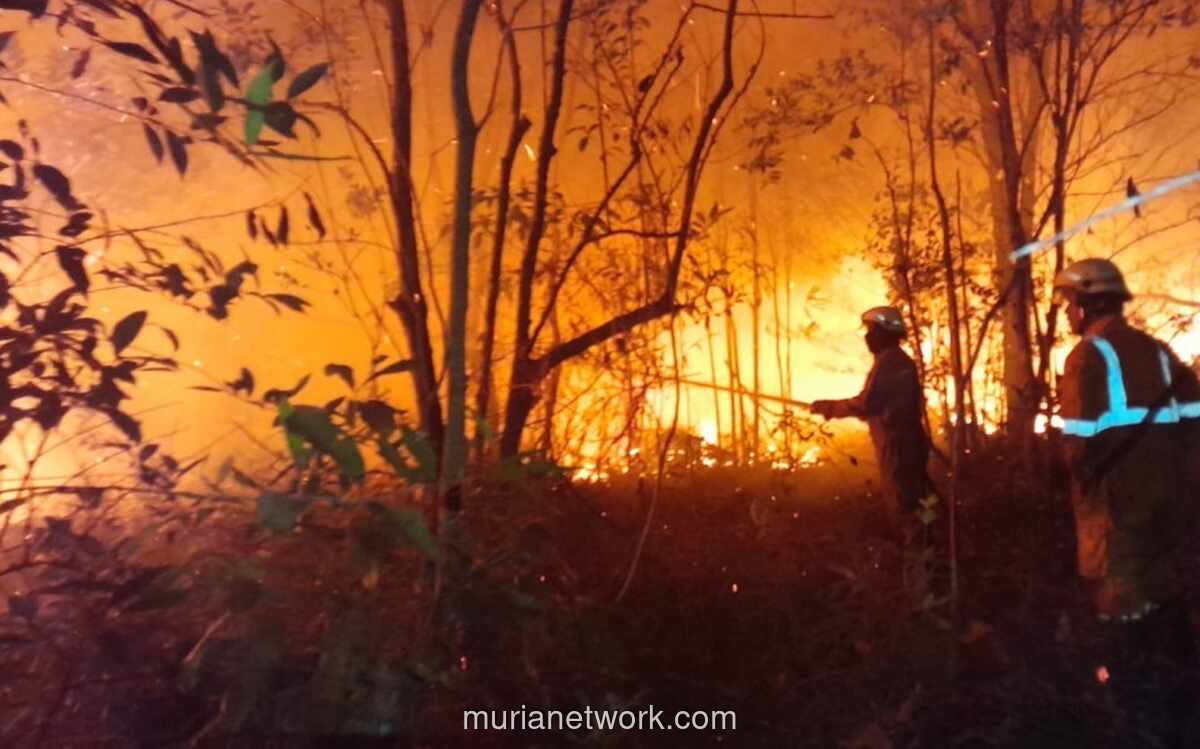 BMKG Catat 201 Titik Panas di Riau, Tertinggi di Sumatera