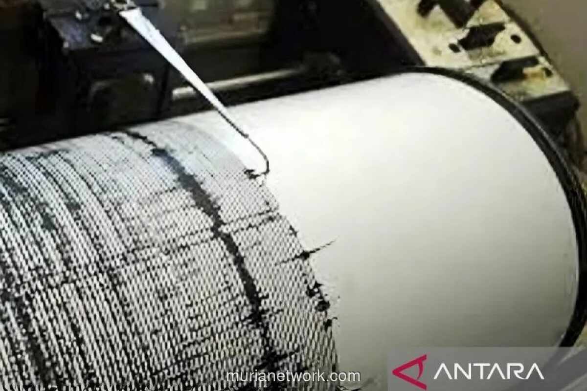 Sultra Diguncang Lima Gempa Dangkal, BMKG: Belum Ada Laporan Kerusakan
