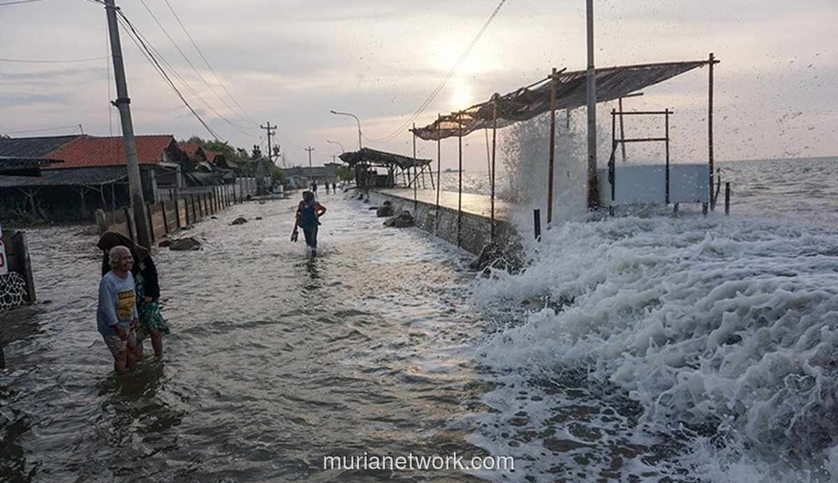 BMKG Waspadai Dampak Gelombang Tinggi dari Dua Bibit Siklon Tropis