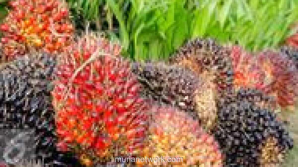 BRIN dan Agrinas Palma Jalin Kerja Sama Dongkrak Riset Sawit Berkelanjutan