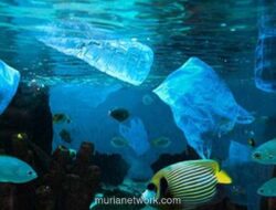 BRIN Temukan Mikroplastik di Kedalaman 2.450 Meter di Jalur Arus Lintas Indonesia