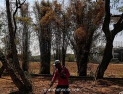 Pemprov DKI Siapkan Sistem Peringatan Dini dan Patroli Antisipasi Kekeringan