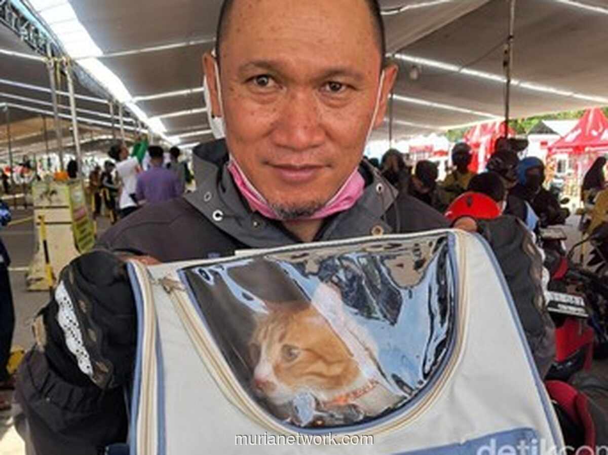 Trauma Kucing Mati di Titipan, Pemudik Pilih Bawa Hewan Peliharaan Langsung ke Kampung Halaman