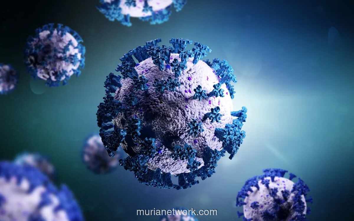 Varian Covid-19 Cicada BA.3.2 Meluas di AS, WHO Pantau Peningkatan Penularan