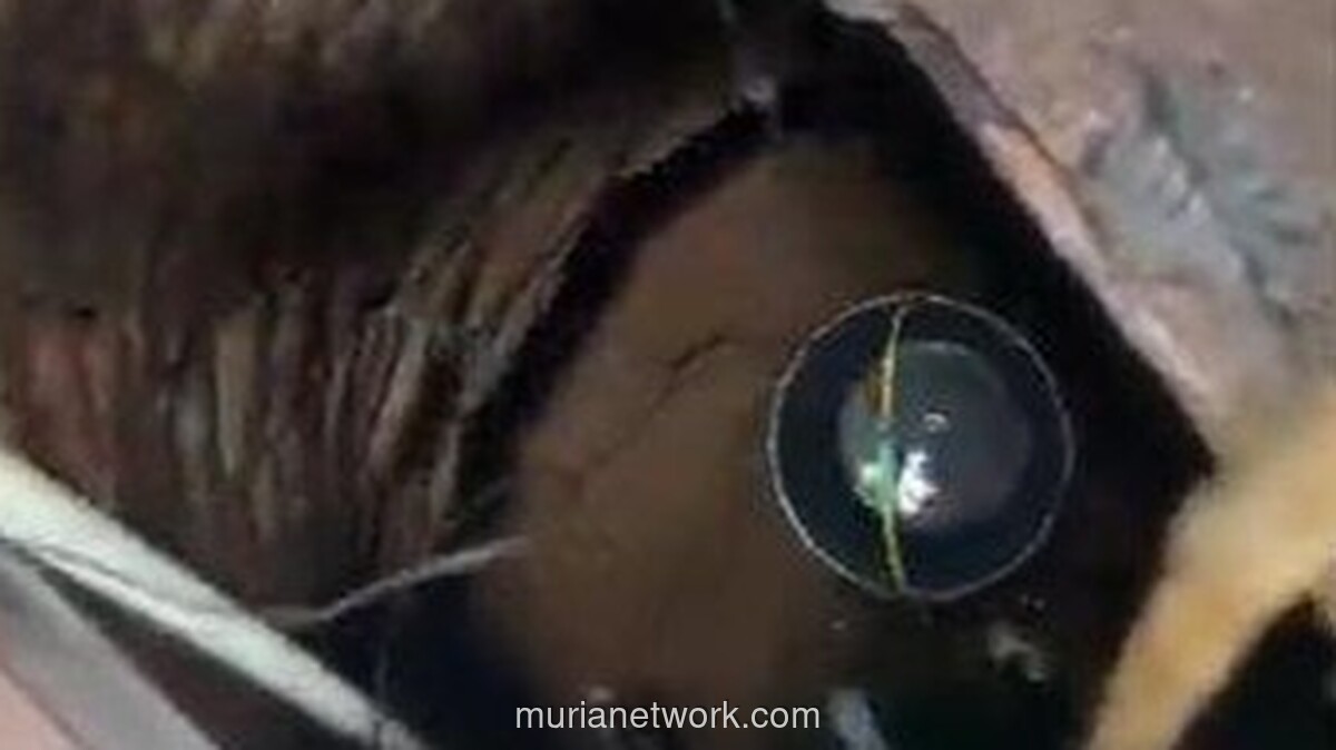 Warga dan Santri di Lebak Bergantung pada Sumur Keruh di Tengah Kelangkaan Air Bersih