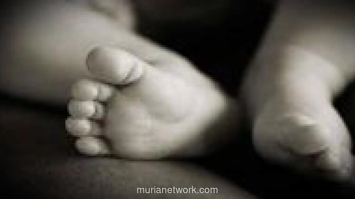 Ibu Kandung Buang Bayi Baru Lahir di Tempat Sampah Pasar Nalo