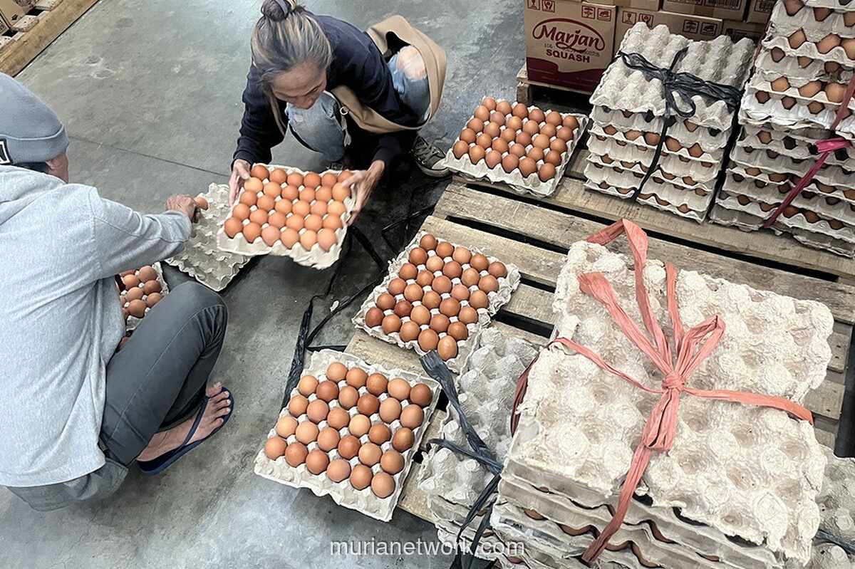 Harga Telur Ayam Ras di 210 Daerah Tembus Batas Acuan Jelang Lebaran 2026