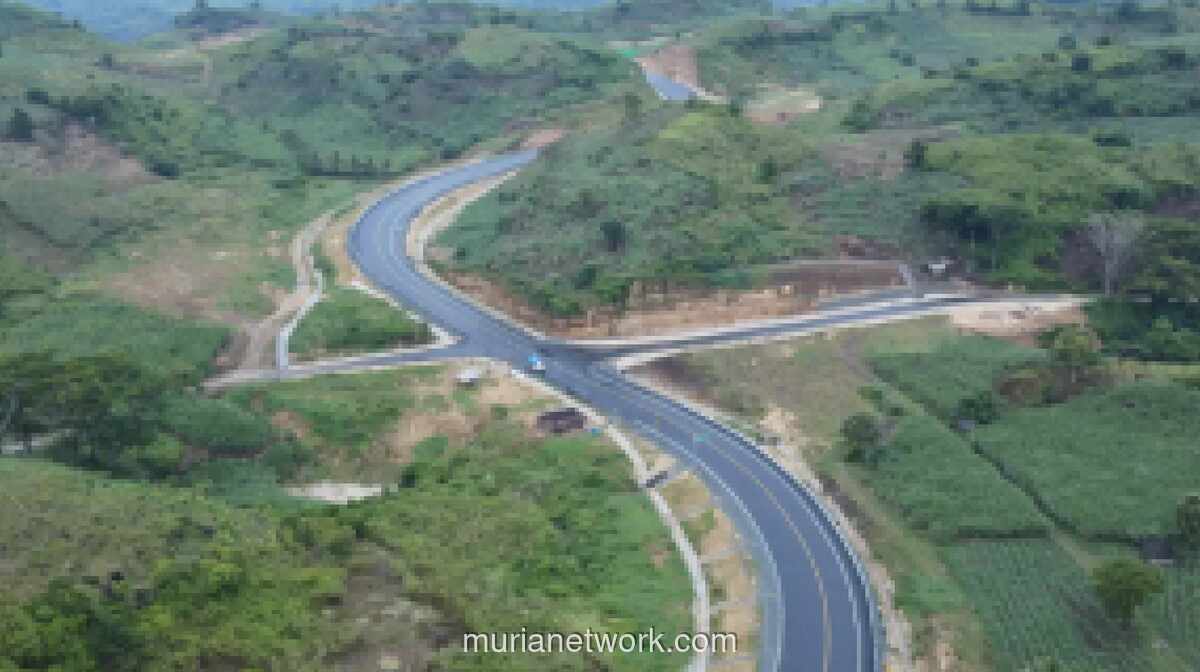 Jalan Lintas Selatan Blitar Segera Beroperasi, Dukung Mudik dan Pemerataan