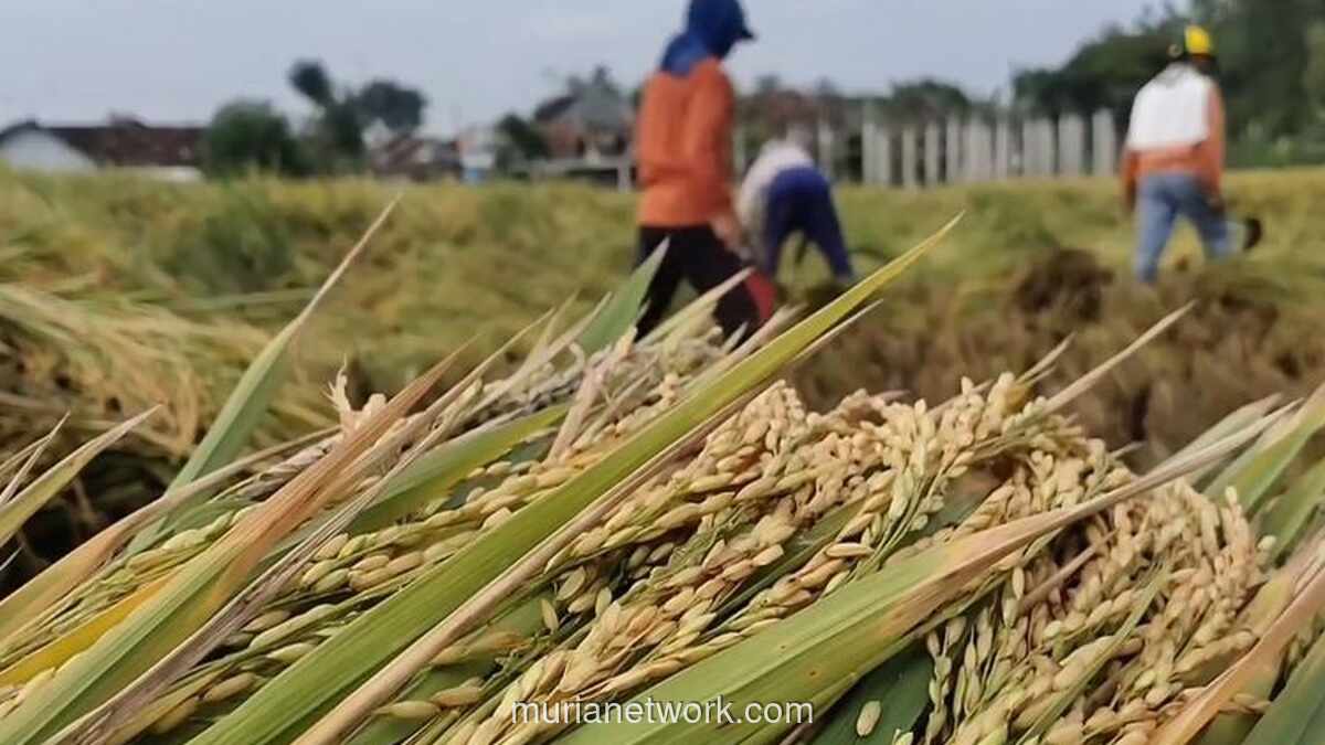 Anggota DPR Desak Pemerintah Jaga Ketahanan Pangan di Tengah Ancaman Krisis Global