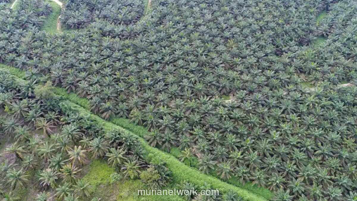 Laba Bersih SMAR Melonjak Lebih dari Dua Kali Lipat pada 2025