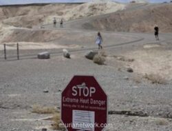 Misteri Batu Berjalan di Death Valley Terpecahkan Berkat Es dan Angin