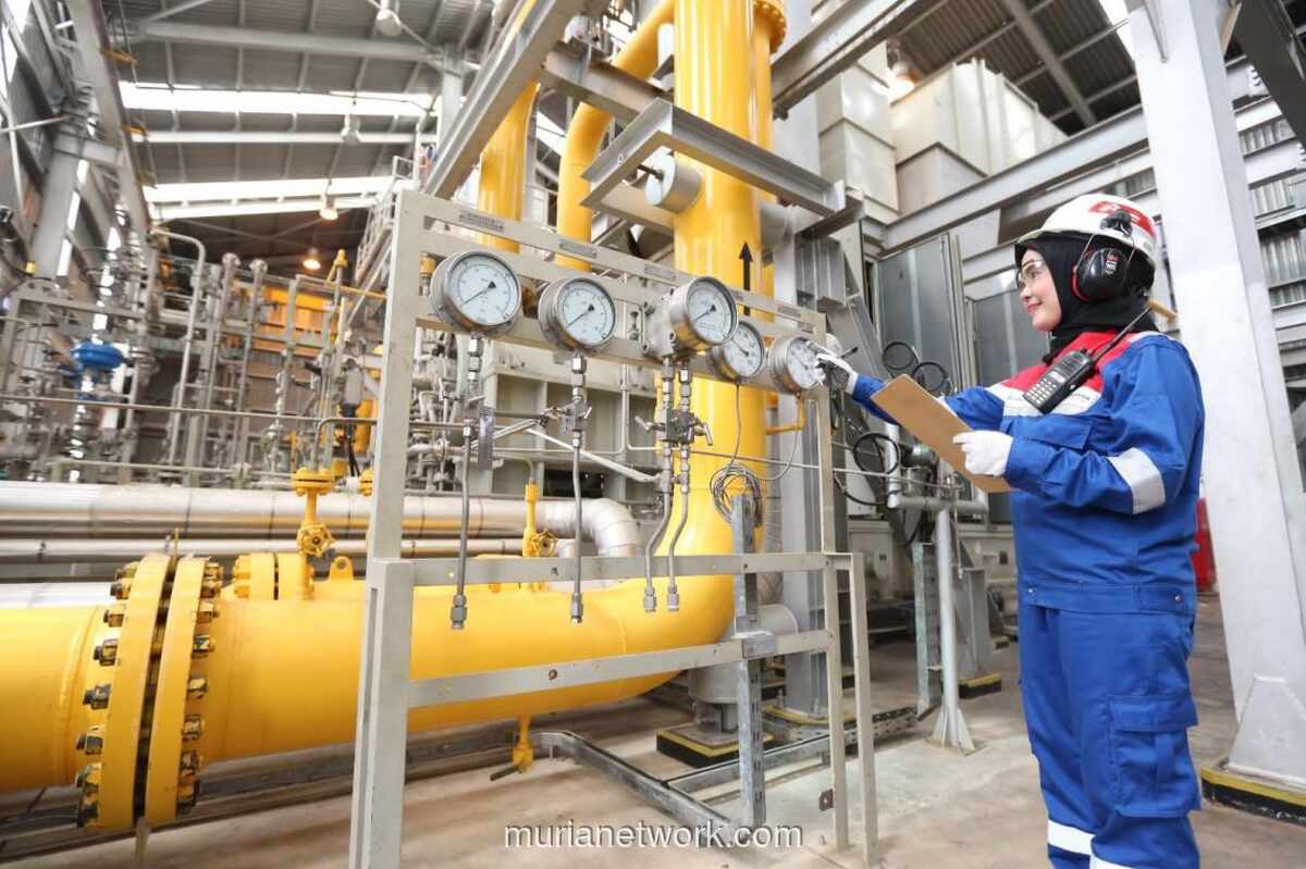 Fitch Ratings Tegaskan Peringkat BBB- untuk PGN, Outlook Stabil