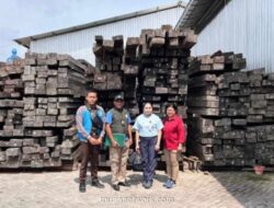 Dua Tersangka Peredaran Kayu Eboni Ilegal Diserahkan ke Kejaksaan