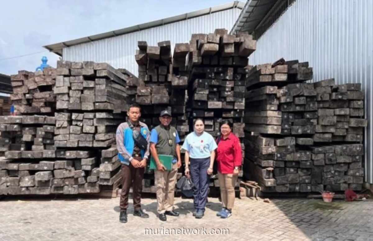 Dua Tersangka Peredaran Kayu Eboni Ilegal Diserahkan ke Kejaksaan