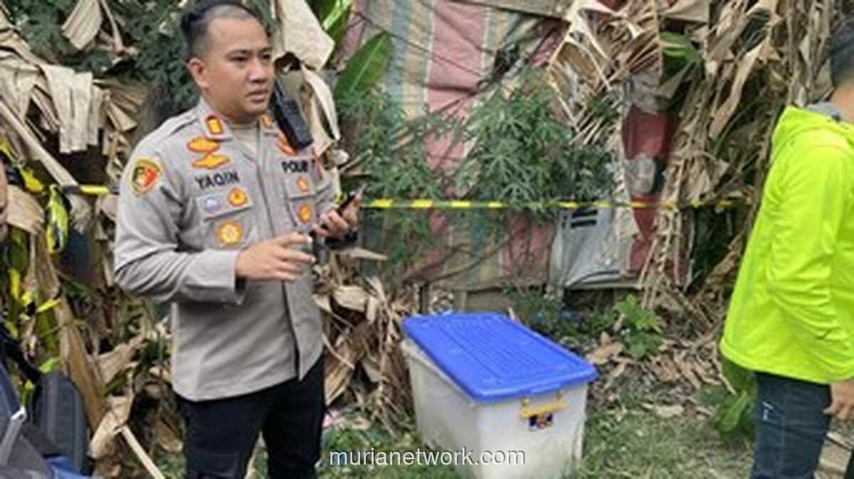 Mayat dalam Boks Kontainer Ditemukan di Pinggir Sungai Medan Denai