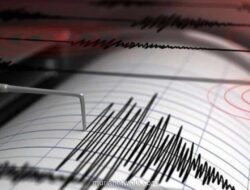 Gempa M 5,2 Guncang Konawe Kepulauan Sulteng