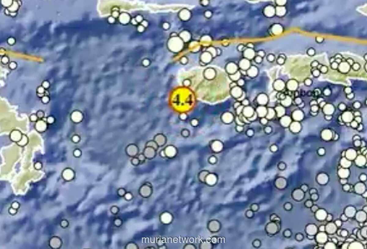 Gempa M 4,4 Guncang Perairan Barat Daya Pulau Buru, BMKG Pastikan Tak Berpotensi Tsunami