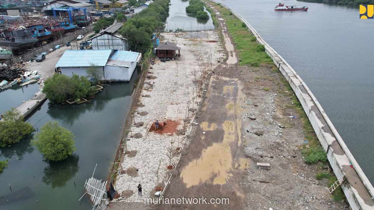 Proyek Giant Sea Wall Butuh Dana Hingga 100 Miliar Dolar AS