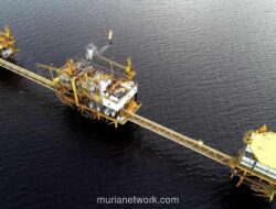 Saham Bakrie Melawan Arus, ENRG dan DEWA Catat Kenaikan Signifikan