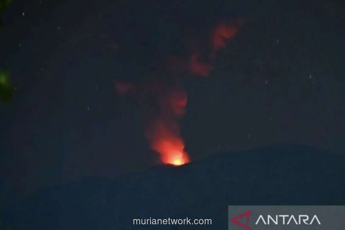 Gunung Ibu Erupsi, Luncurkan Kolom Abu 600 Meter
