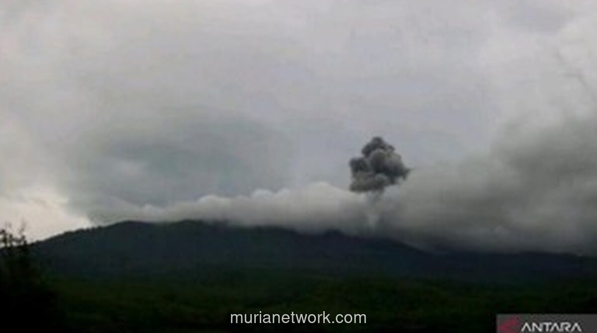 Gunung Lewotobi Laki-laki Erupsi, Kolom Abu Capai 1,2 Kilometer