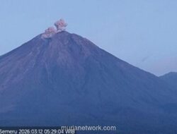 Gunung Semeru Erupsi Empat Kali, Kolom Abu Capai 600 Meter