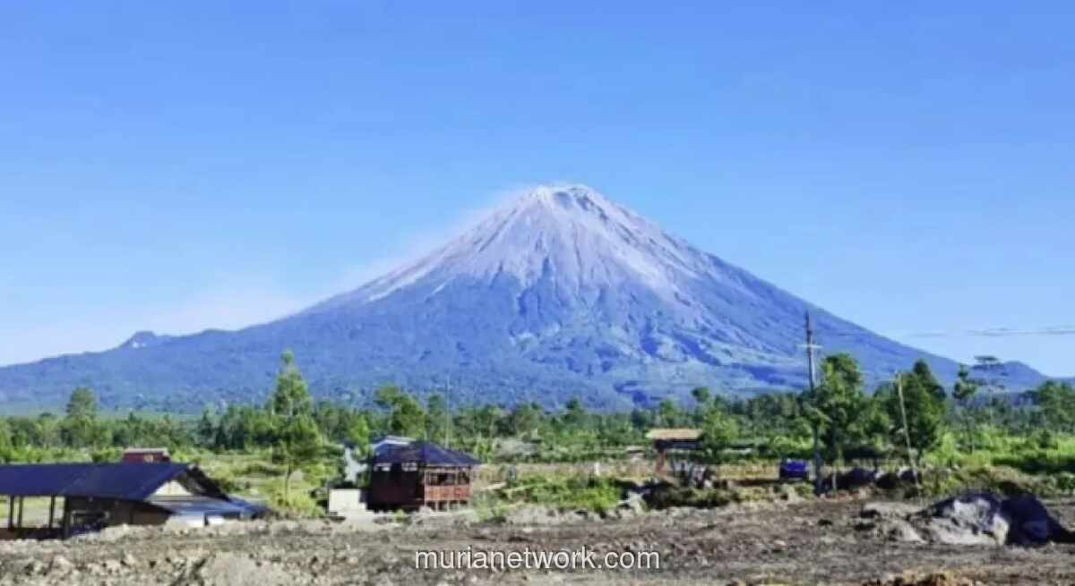 Gunung Semeru Erupsi, Status Siaga Dipertahankan