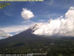 Gunung Semeru Erupsi, Luncurkan Awan Panas ke Arah Tenggara