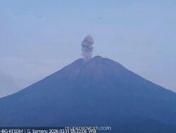 Gunung Semeru Erupsi, Abu Membubung 1.000 Meter, Status Siaga Dipertahankan