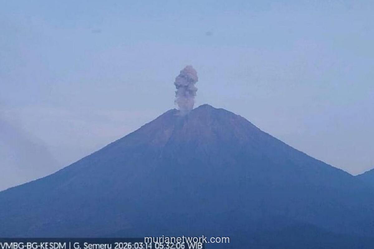 Gunung Semeru Erupsi, Abu Membubung 1.000 Meter, Status Siaga Dipertahankan