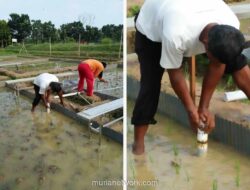 Kementan dan Jabar Antisipasi Kemarau Panjang 2026 untuk Jaga Produksi Padi