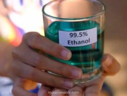 Pemerintah Dorong Hilirisasi Biofuel dari Jagung, Ubi, dan Tebu untuk Jawab Krisis Energi