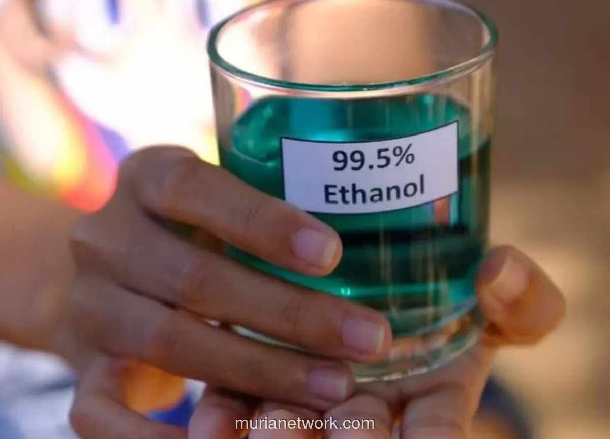 Pemerintah Dorong Hilirisasi Biofuel dari Jagung, Ubi, dan Tebu untuk Jawab Krisis Energi