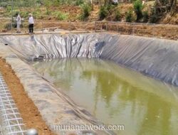 Kementan Genjot Mitigasi Kemarau untuk Jaga Produktivitas Perkebunan