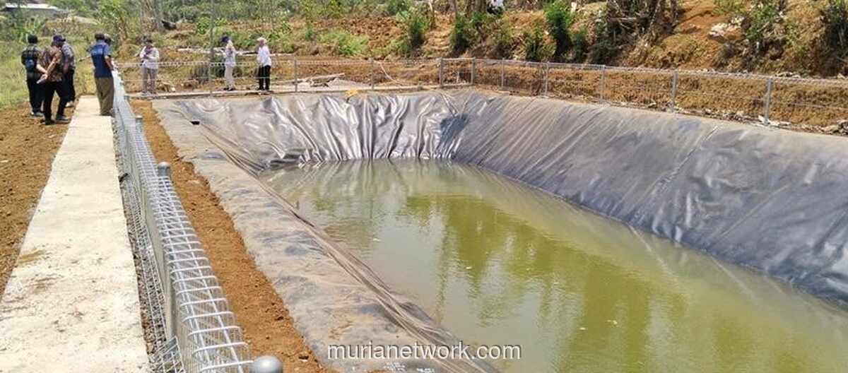 Kementan Genjot Mitigasi Kemarau untuk Jaga Produktivitas Perkebunan