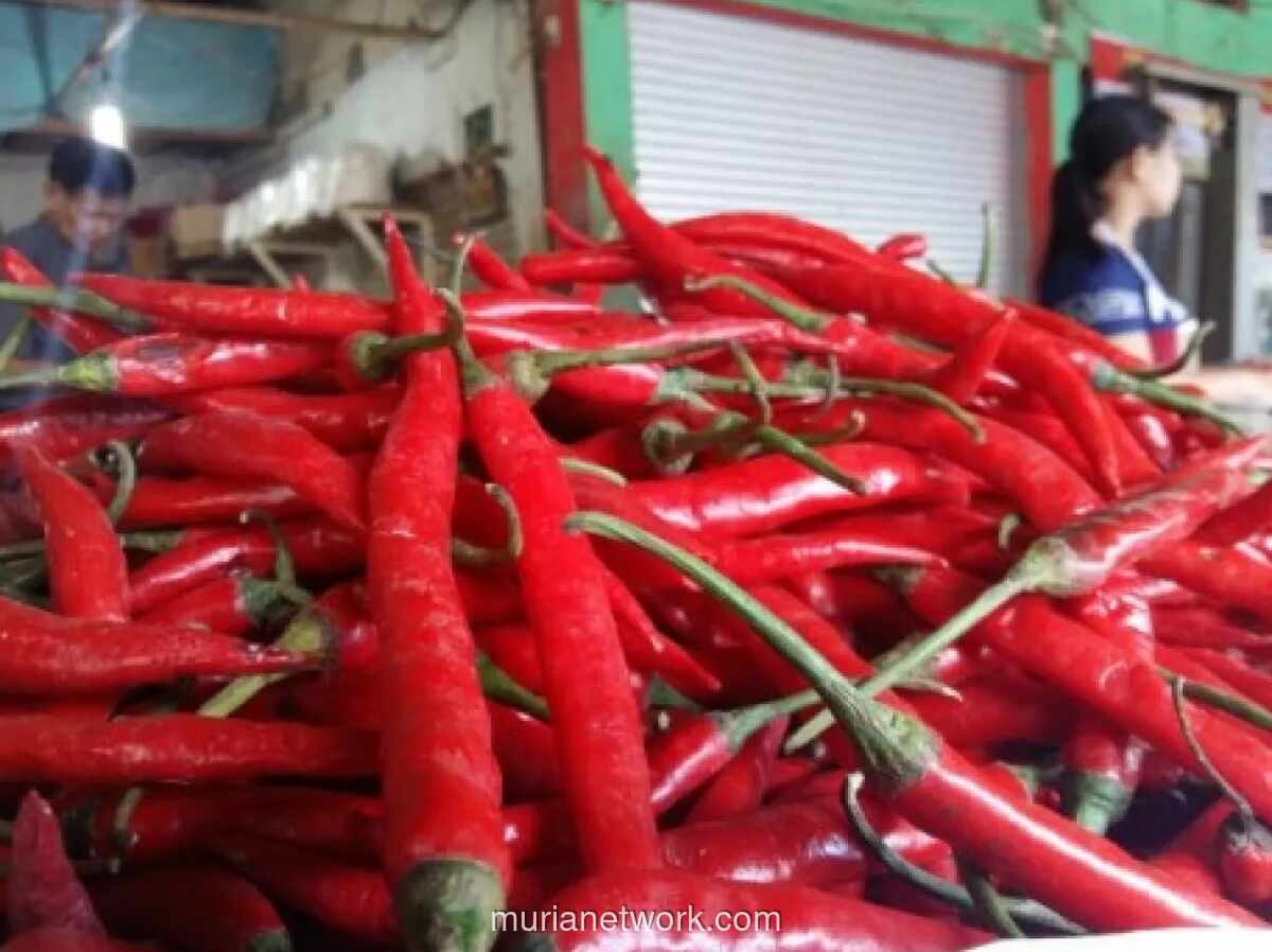 Harga Cabai Rawit Merah Tembus Rp68 Ribu per Kg, Tekanan Pangan Masih Terasa