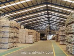 Harga Pakan Ternak Mulai Turun, Peternak Unggas Dapat Angin Segar