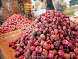 Harga Bawang dan Beras Naik, Cabai Merah Turun Drastis di Pasar Tradisional