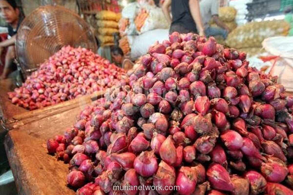 Harga Bawang dan Beras Naik, Cabai Merah Turun Drastis di Pasar Tradisional