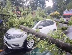 Hujan Deras dan Angin Kencang Tumbangkan Puluhan Pohon, Rusak Kendaraan di Bandung