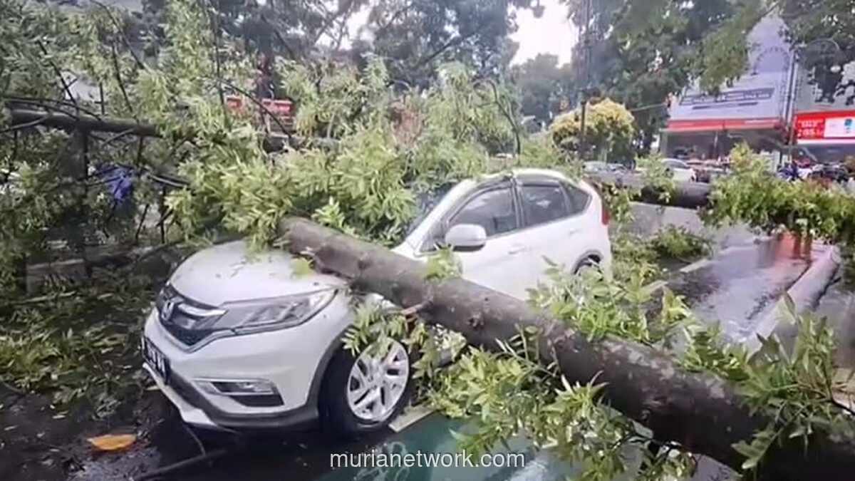 Hujan Deras dan Angin Kencang Tumbangkan Puluhan Pohon, Rusak Kendaraan di Bandung